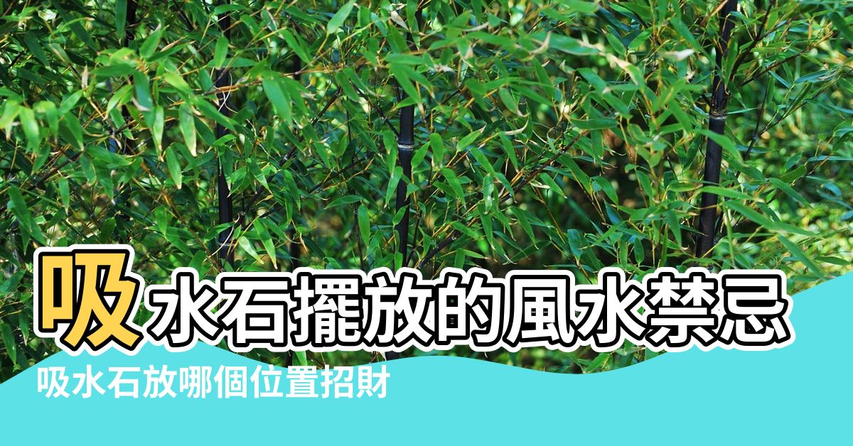 【風水 臥室門對吸水石】吸水石擺放的風水禁忌 |吸水石放哪個位置招財 |家裡放吸水石的八大禁忌 |
