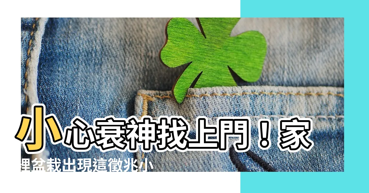 【盆栽枯萎風水】小心衰神找上門！家裡盆栽出現這徵兆小心破財