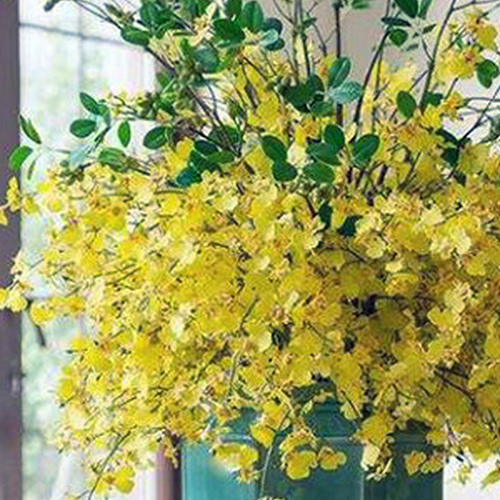 2、家裡擺放人造花會影響風水嗎?