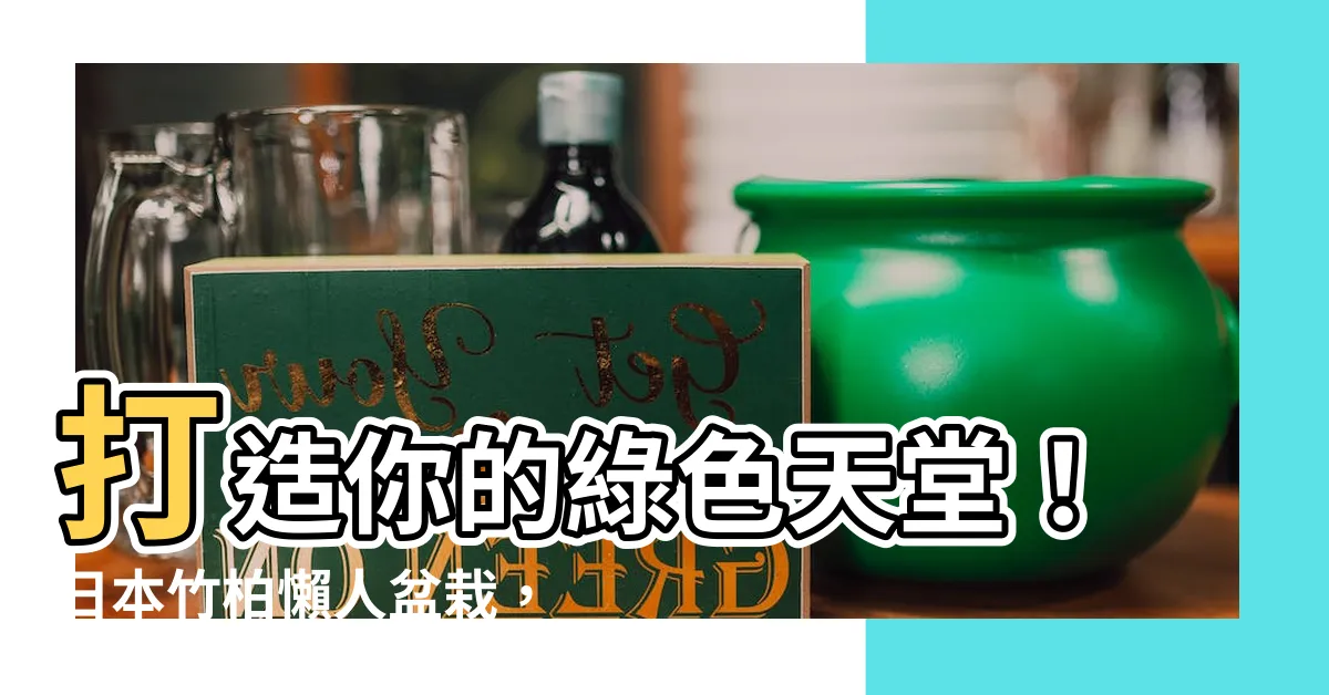 【日本竹柏】打造你的綠色天堂！日本竹柏懶人盆栽，交換禮物聖誕新選擇