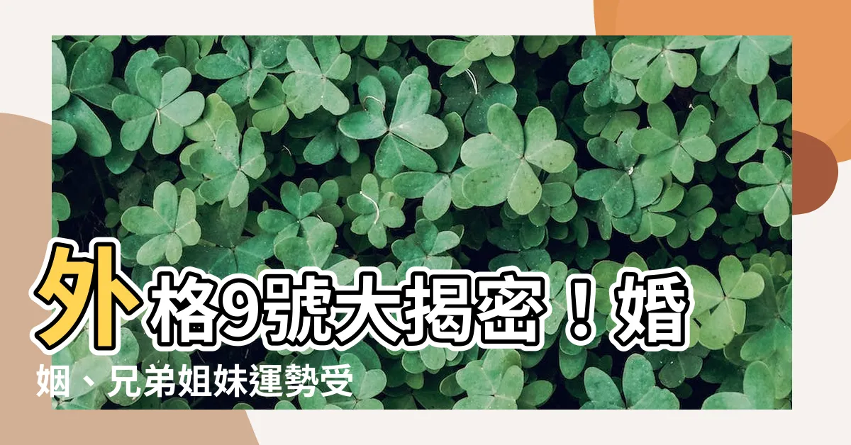 【外格9】外格9號大揭密！婚姻、兄弟姐妹運勢受影響？