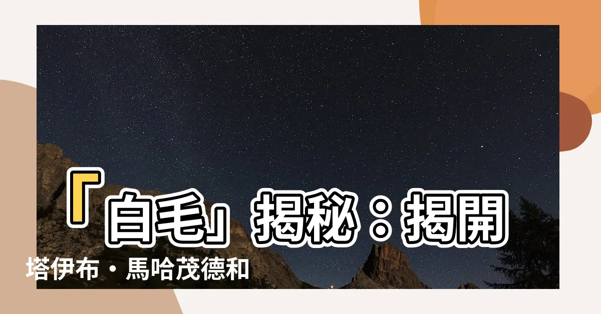 【白毛】「白毛」揭秘：揭開塔伊布·馬哈茂德和泰益瑪目的真實面貌
