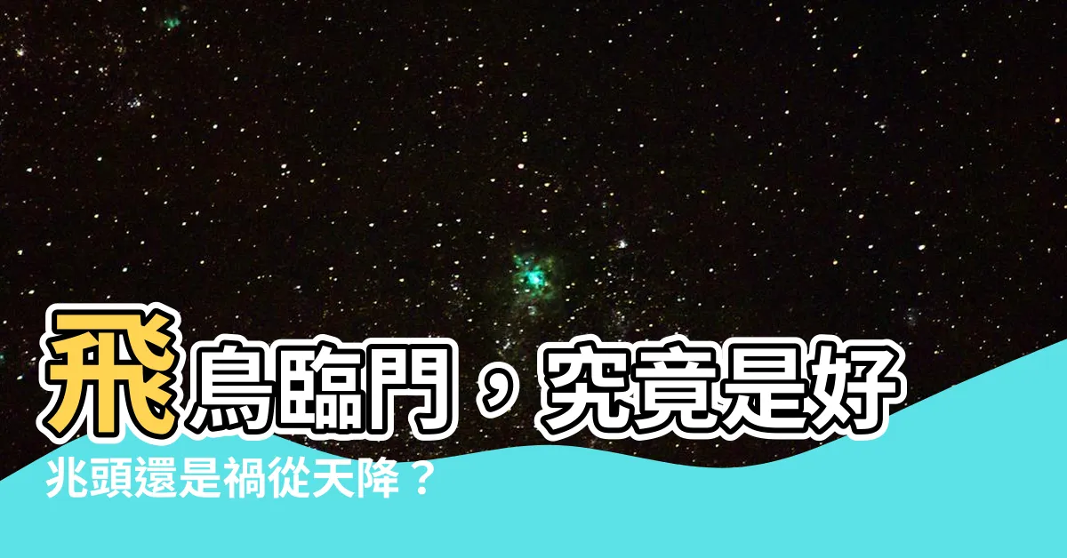 【鳥進】飛鳥臨門，究竟是好兆頭還是禍從天降？