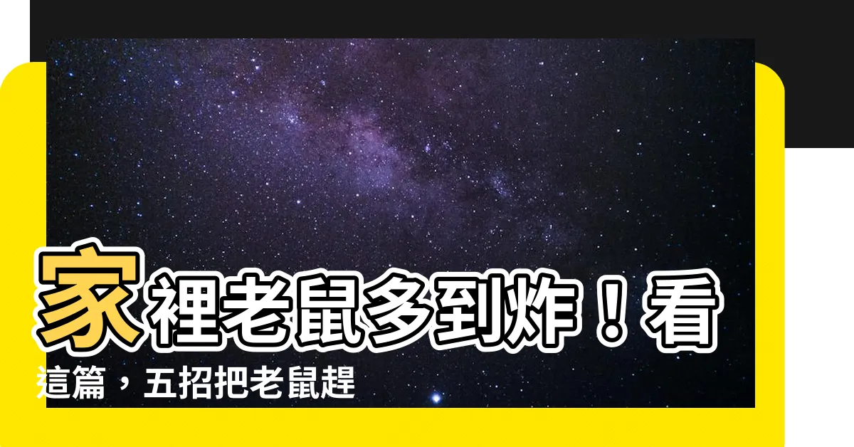 【家裡很多老鼠】家裡老鼠多到炸！看這篇，五招把老鼠趕跑！