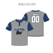 BSBJ02-02