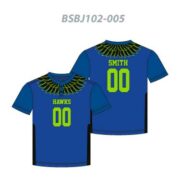 BSBJ02-06
