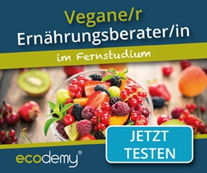 5c826d54-veganer-ernaehrungsberater-ausbildung-fernstudium-banner-inline-rectangle-300x250-9