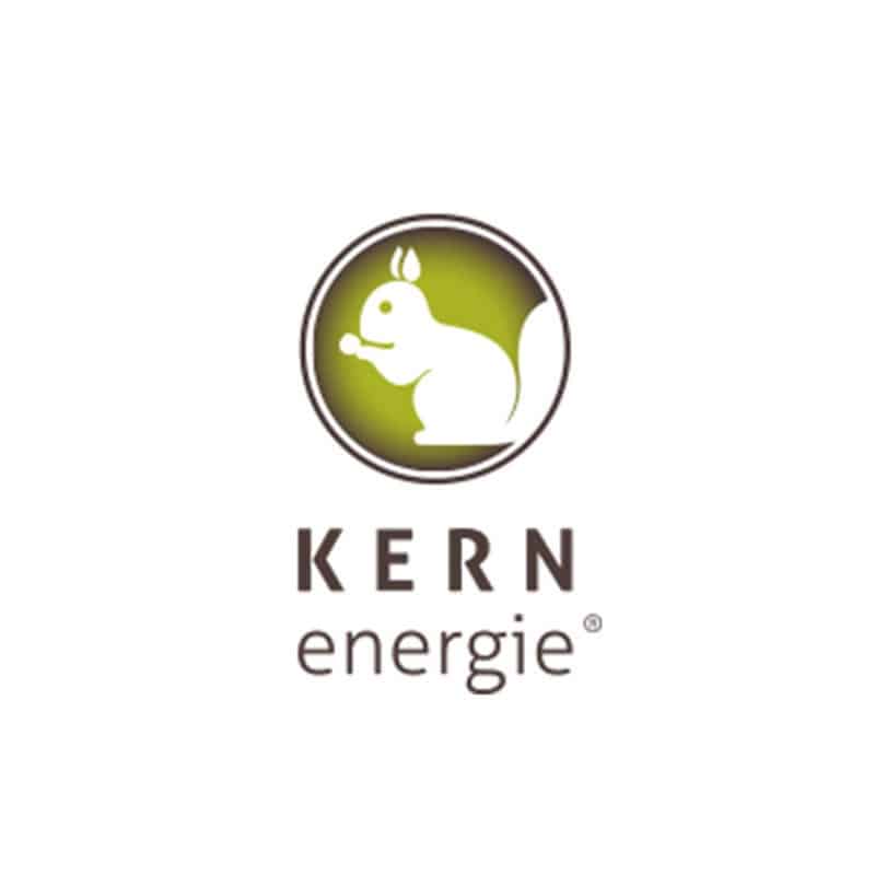 8007e96f-kernenergie-logo