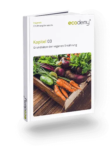 Vegane Ernährungsberatung Ausbildung Fernstudium der ecodemy 3. Kapitel Grundsätze der veganen Ernährung