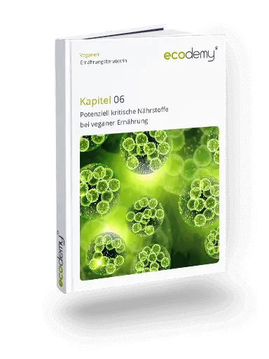 Vegane Ernährungsberatung Ausbildung Fernstudium der ecodemy 6. Kapitel Potenziell kritische Nährstoffe bei veganer Ernährung