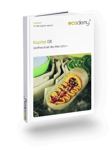 Vegane Ernährungsberatung Ausbildung Fernstudium der ecodemy 8. Kapitel Stoffwechsel des Menschen