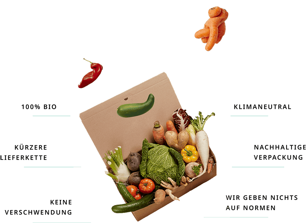 Das Konzept der etepetete Bio Obst- und Gemüsebox