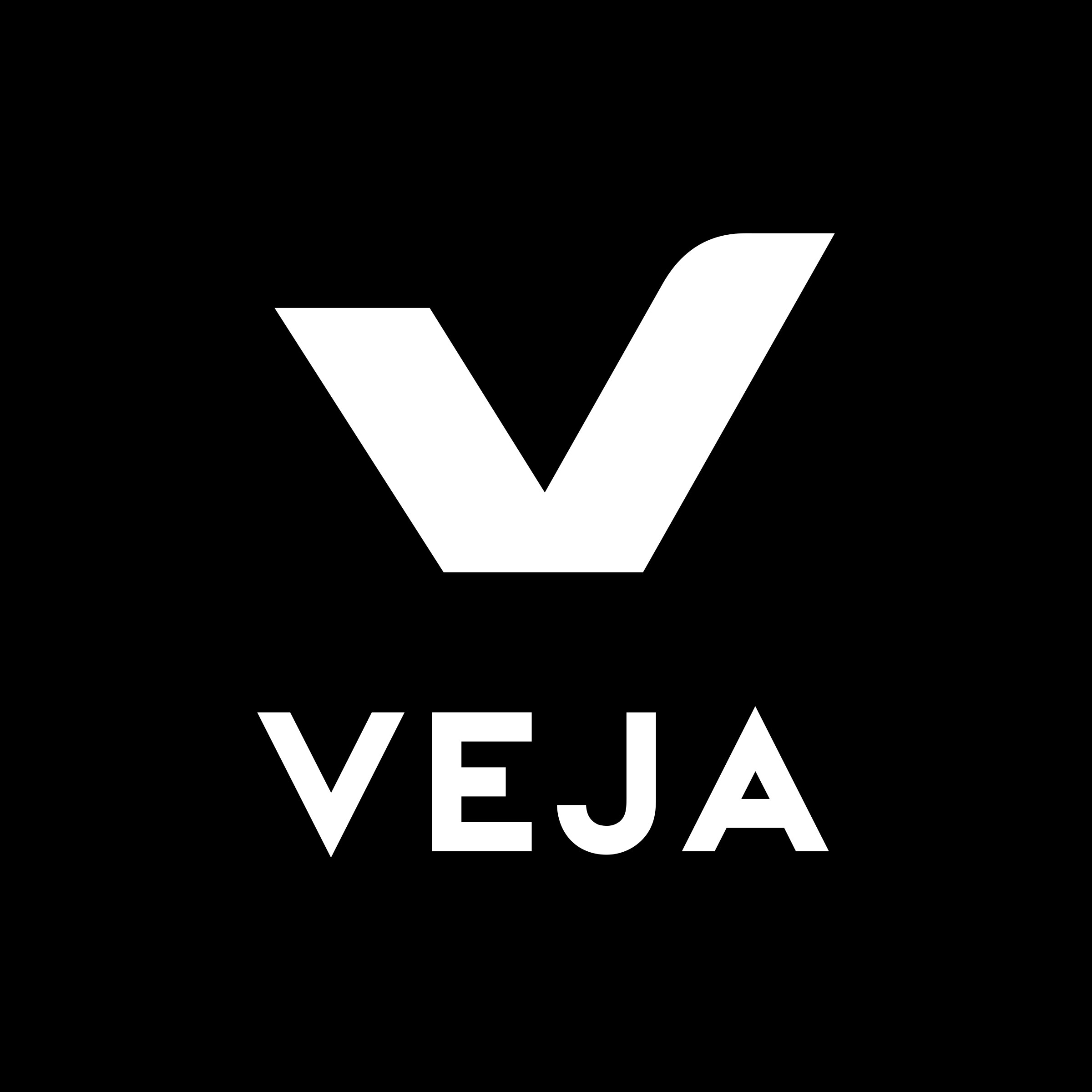 Veja Schuhe Sneaker Logo