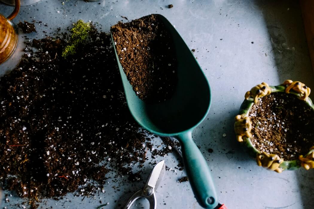 must-have-tools-for-gardening