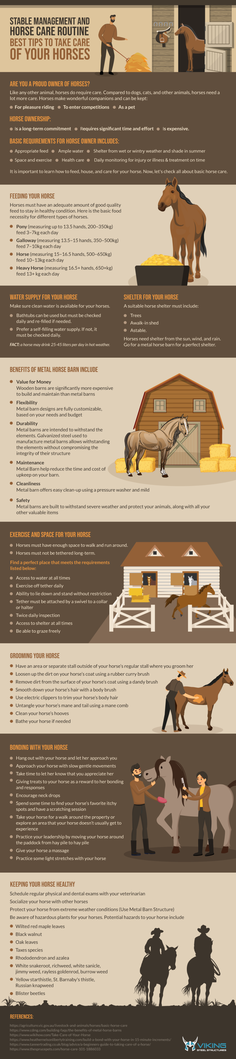 Stable Management and Horse Care Routine: Best Tips to Take Care of Your Horses