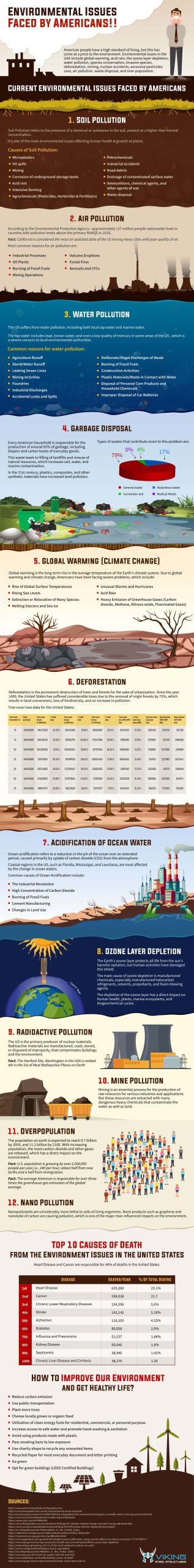 Environmental Issues Faced by Americans