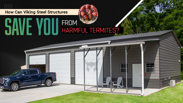 How Can Viking Steel Structures Save You from Harmful Termites?