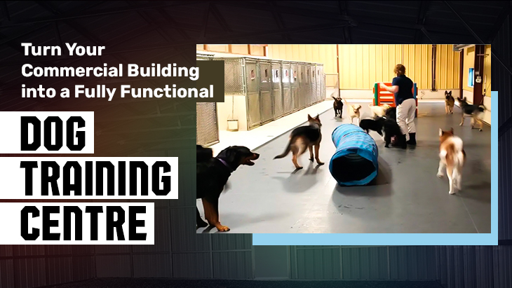 Turn Your Commercial Building into a Fully Functional Dog Training Centre