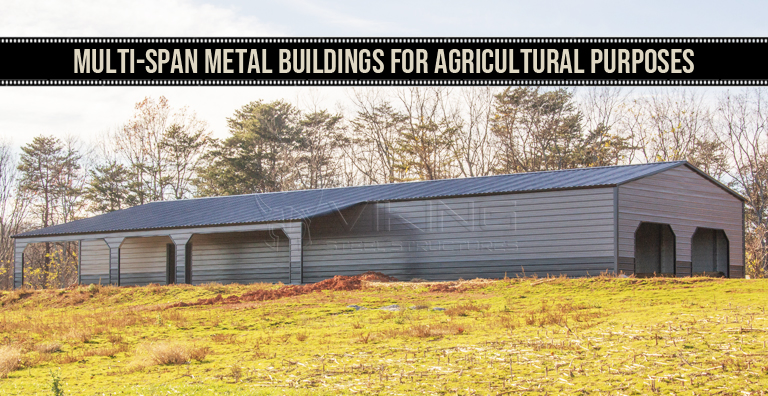 Multi-Span Metal Buildings For Agricultural Purposes