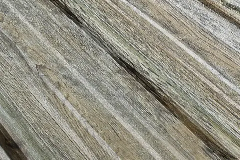 Wood Design 1 Color