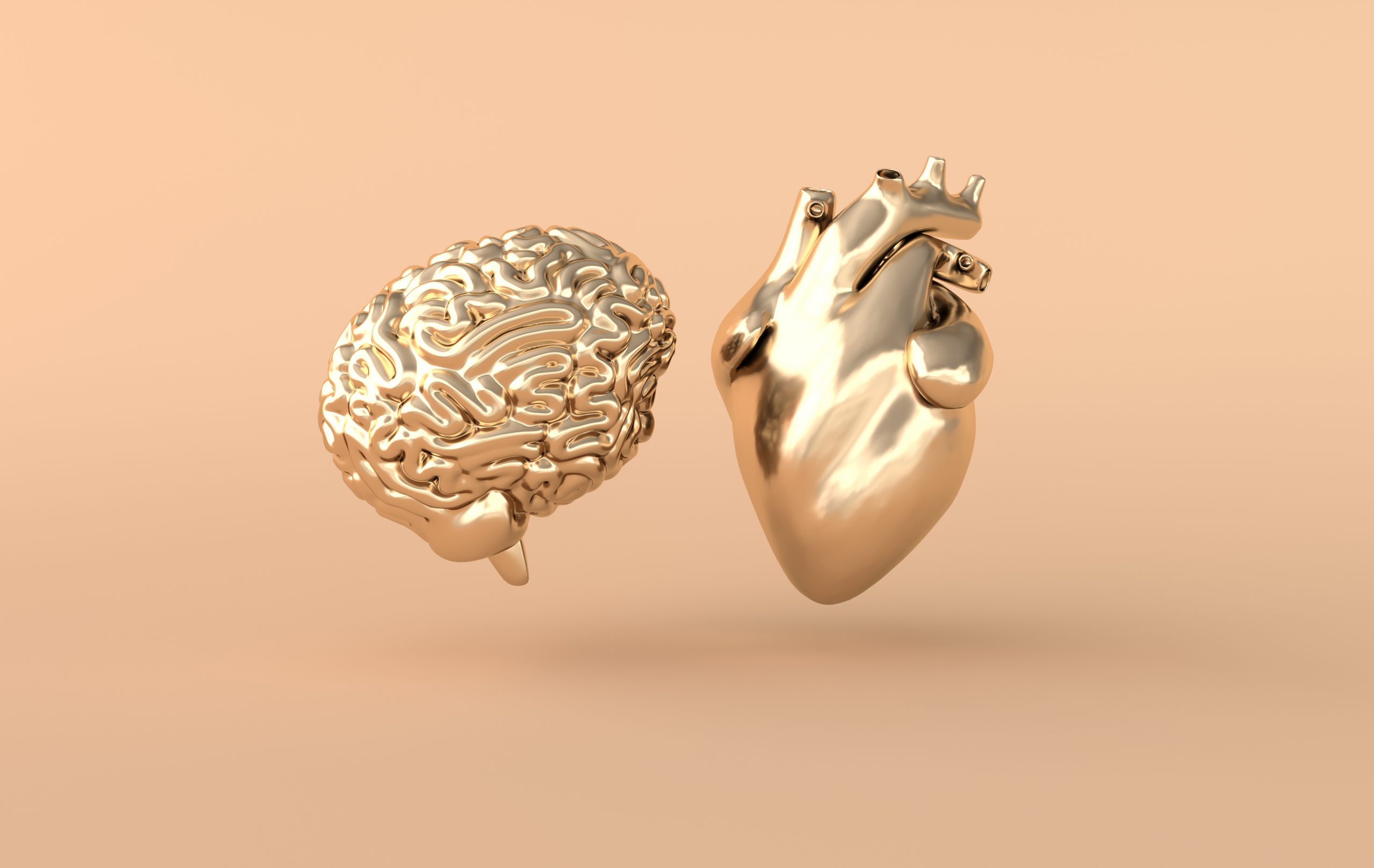 Heart and brain 3d rendering. Emotions and rational thinking conflict concept. Soul and intelligence balance