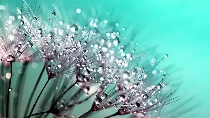 raindrop2