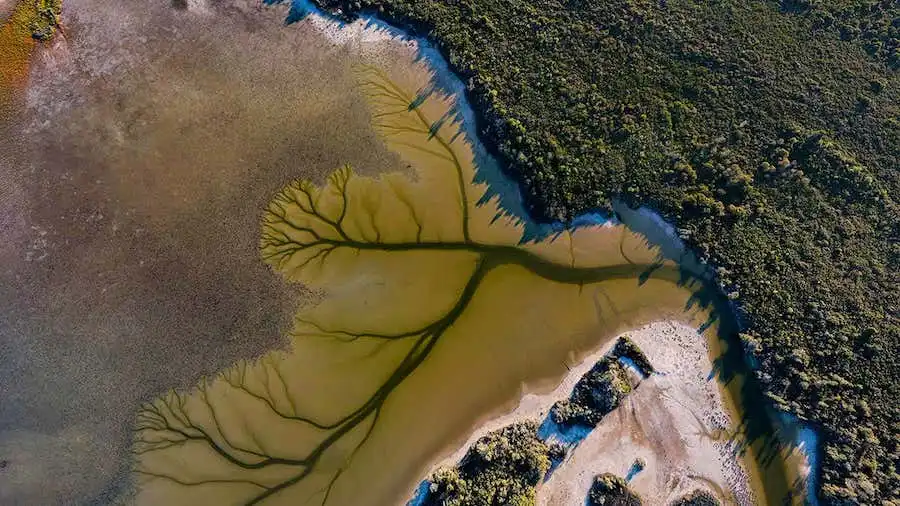 Exploring the Tranquil Beauty of Lake Cakora in Brooms Head, Australia