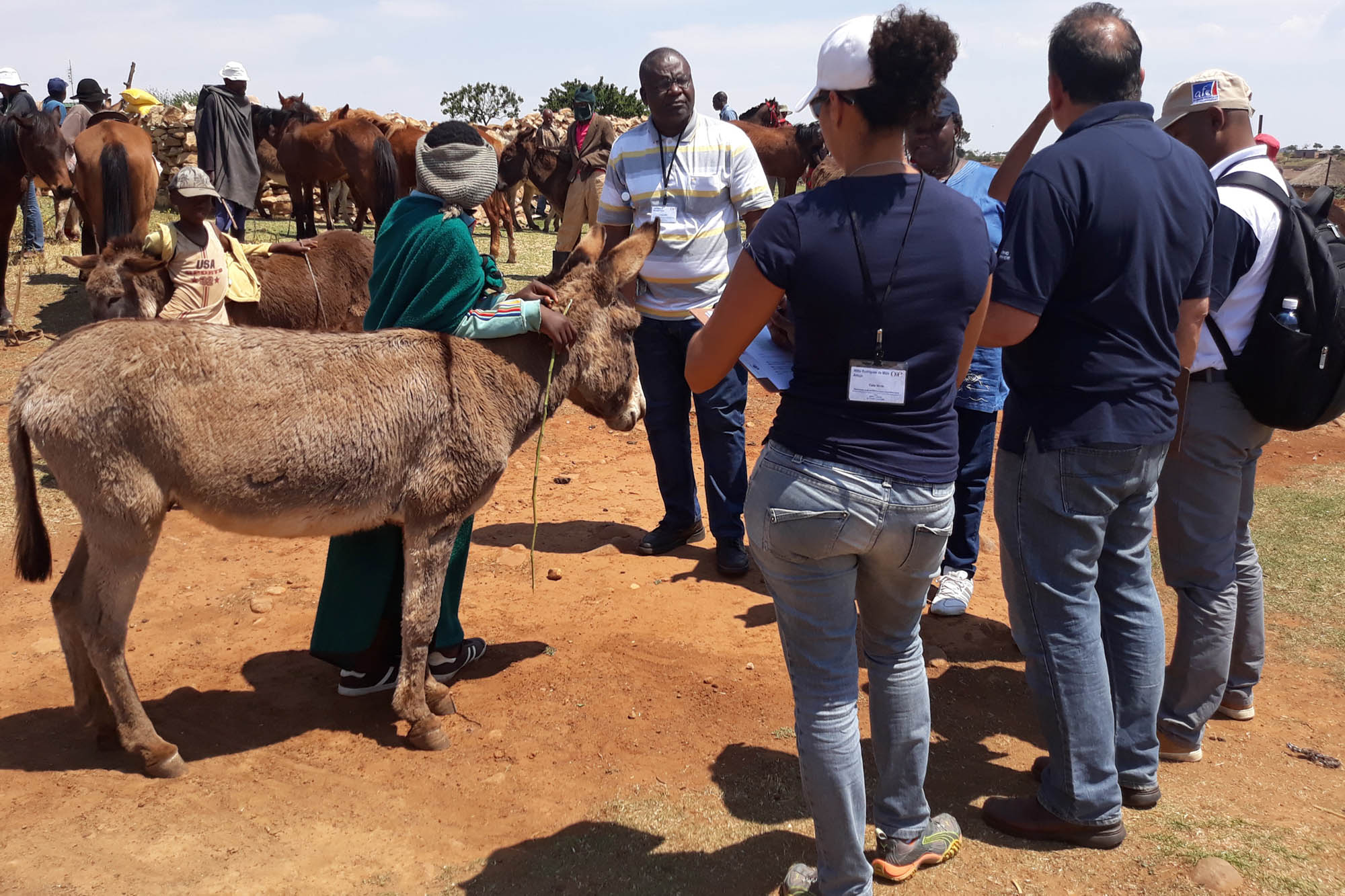 Putting on a practical training workshop in Lesotho