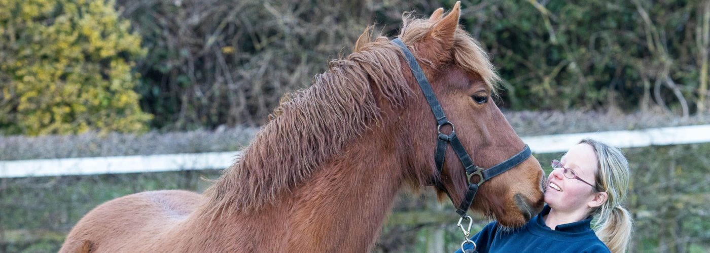 World Horse Welfare groom being nuzzled by chesnut pony