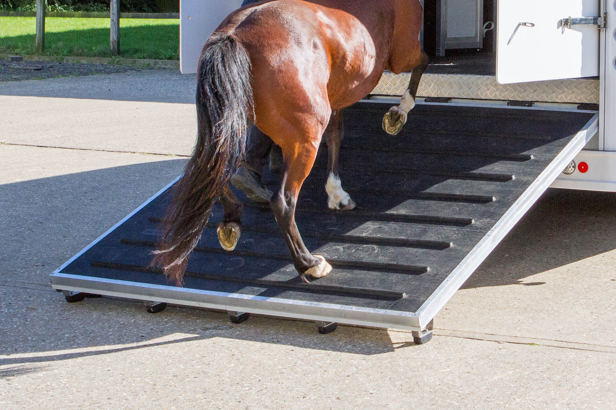 Horse welfare during transport in GB