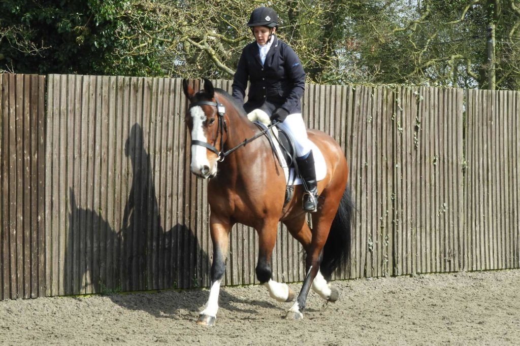 Elvis and Emma, warming up for a dressage test