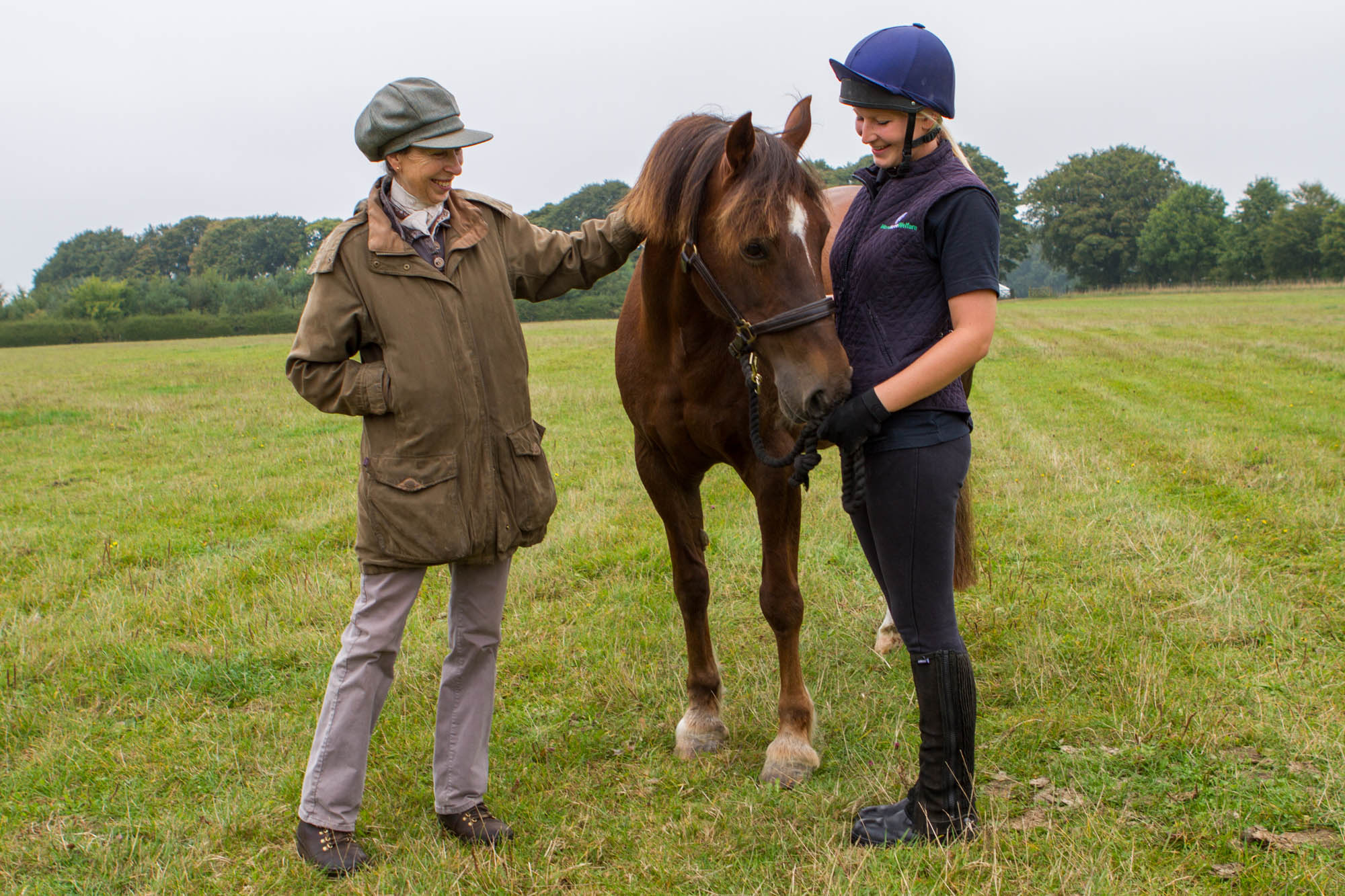 HRH The Princess Royal kick starts World Horse Welfare’s rehoming campaign in the midst of a horse crisis by rehoming charity horse