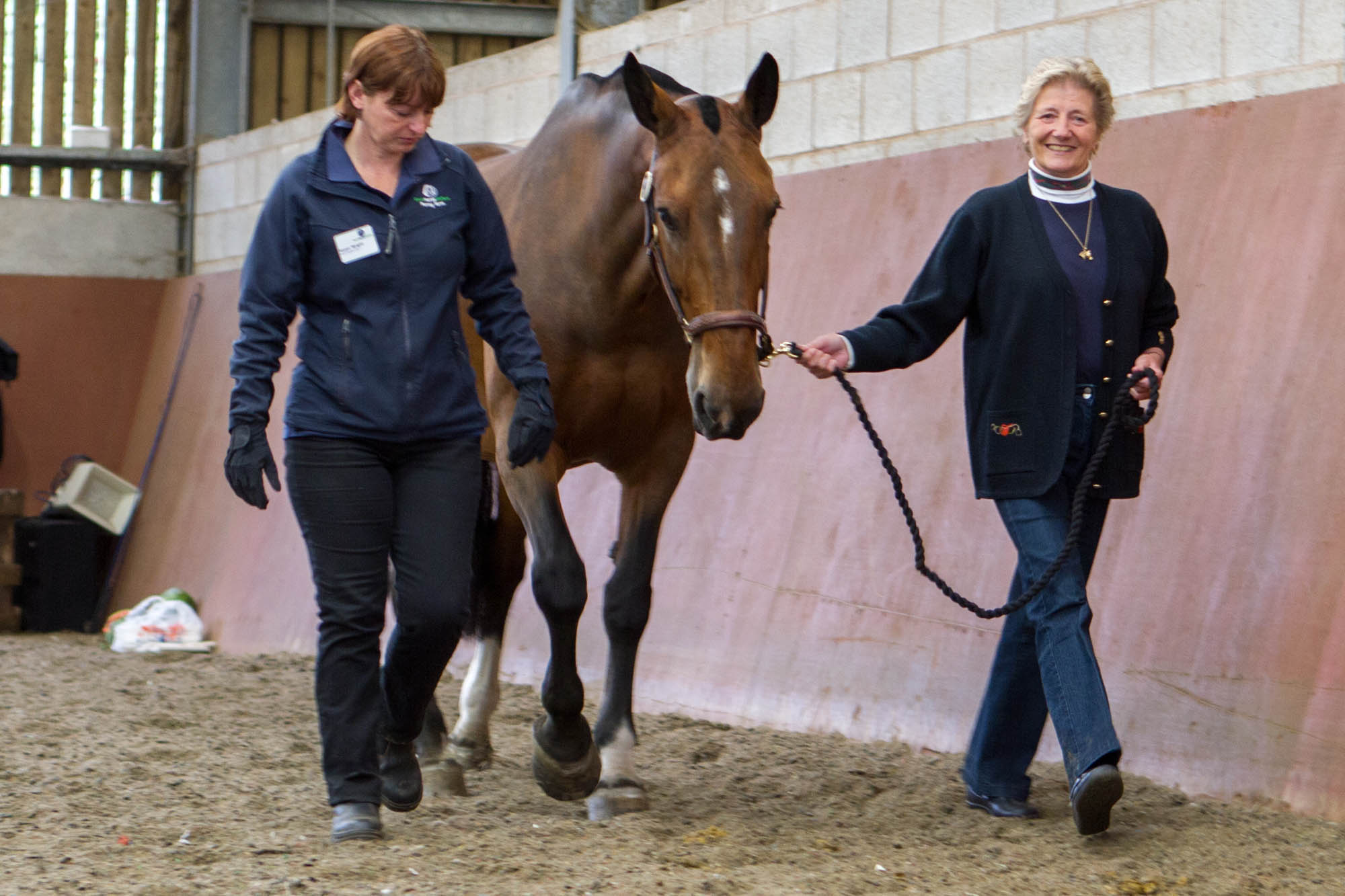 From welfare case to war horse, Penny retires from The King’s Troop