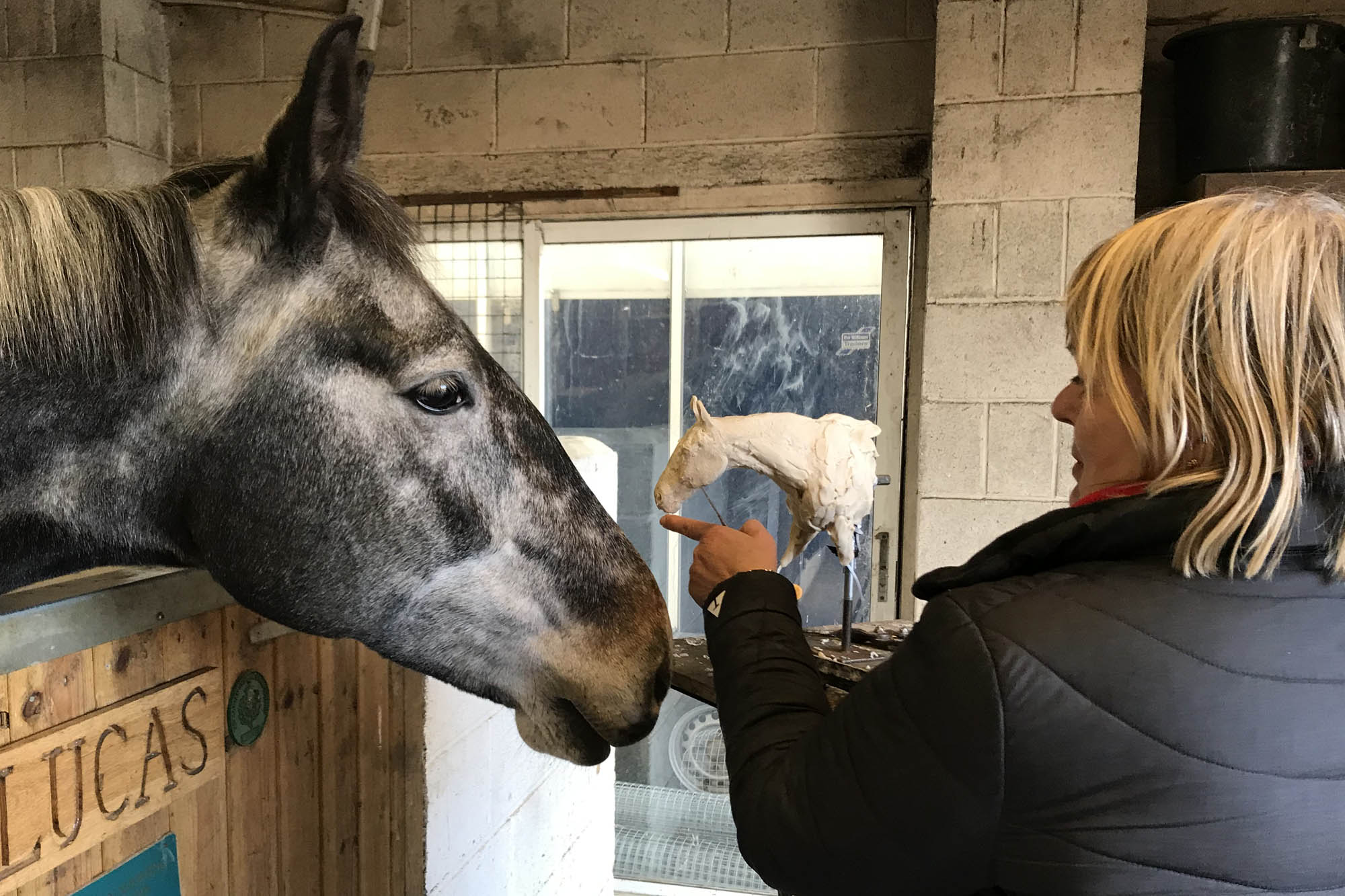 World Horse Trail sculptures showcased at Royal Windsor Horse Show 2019