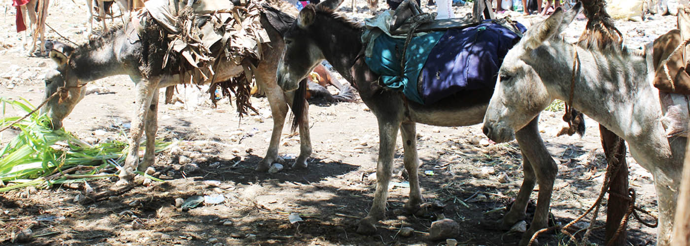 Haiti