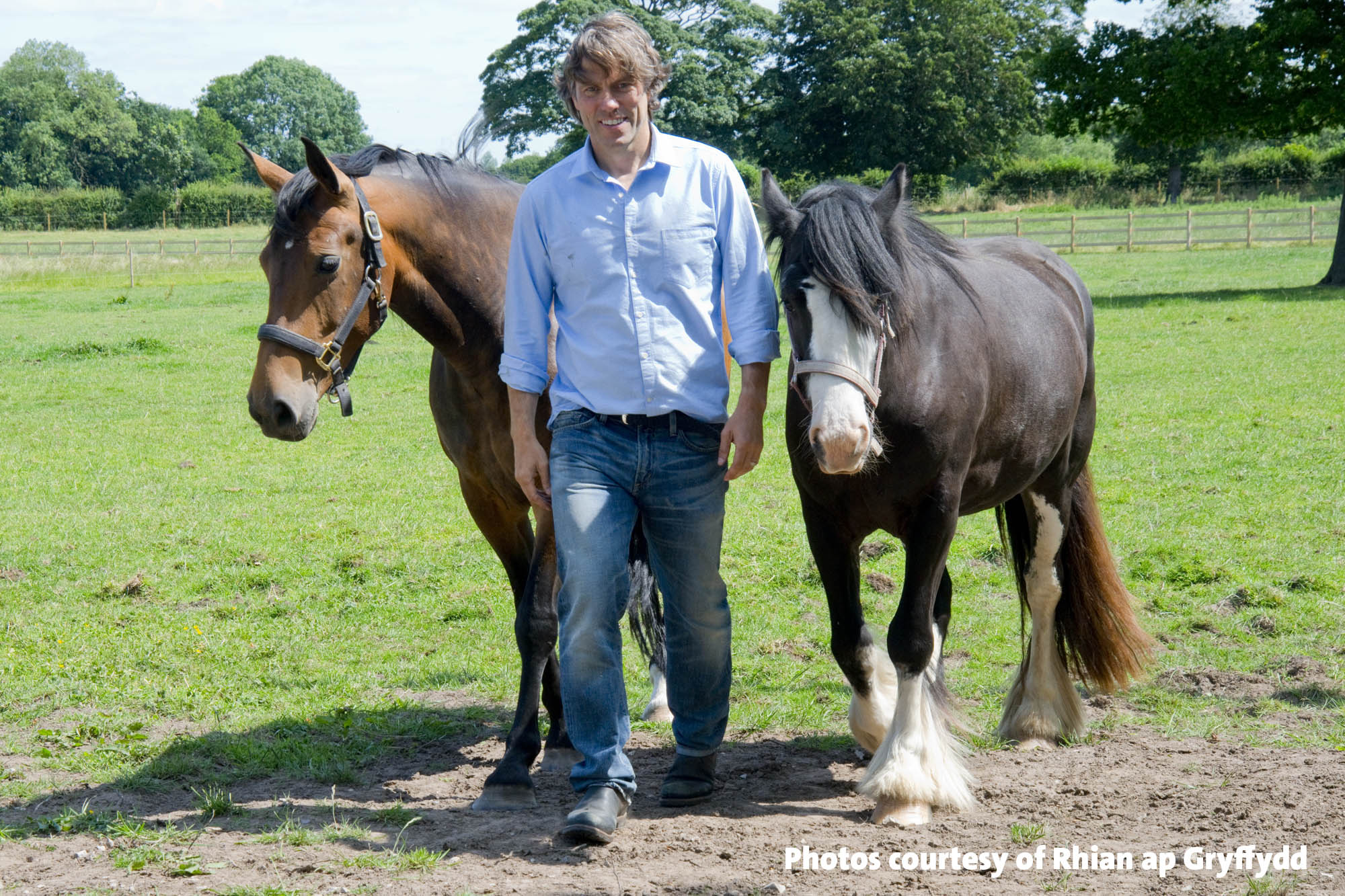 Four deserving horses find happiness with Melanie and John Bishop