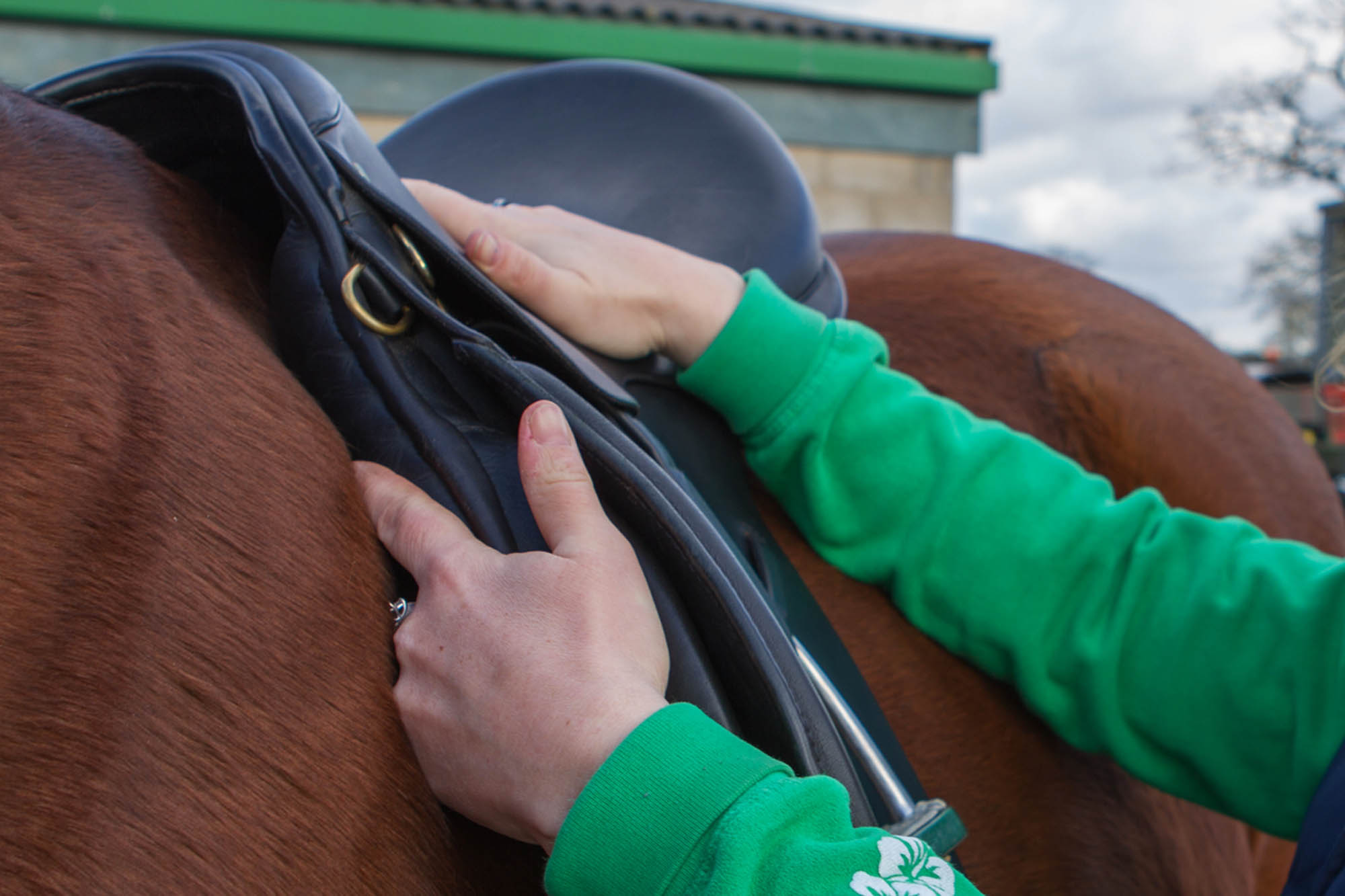 Fitting, using and maintaining a saddle
