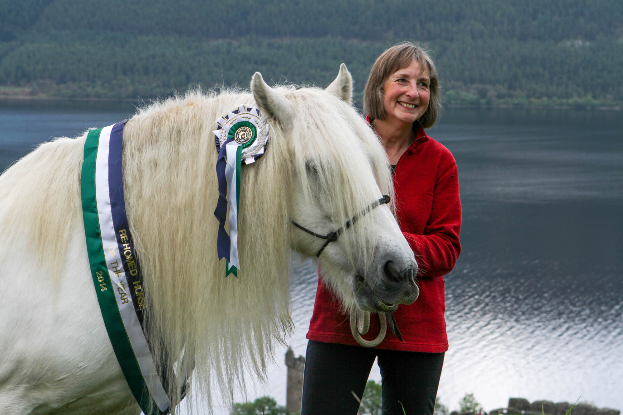 Major sighting at Loch Ness turns out to be Rehomed Horse of the Year