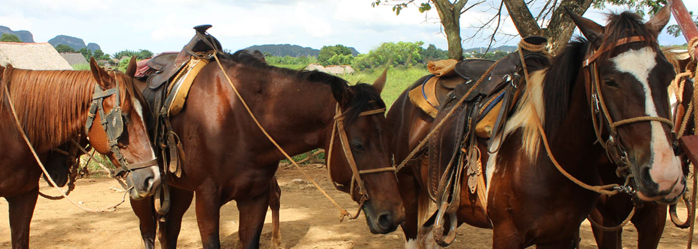 Responsible tourism - letterbox