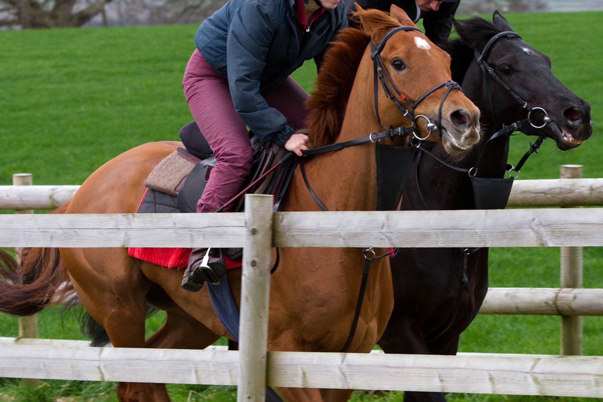 Use of the whip in racing