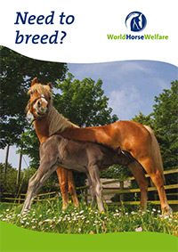 Need o breed leaflet