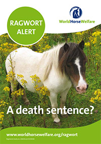 Ragwort alert leaflet