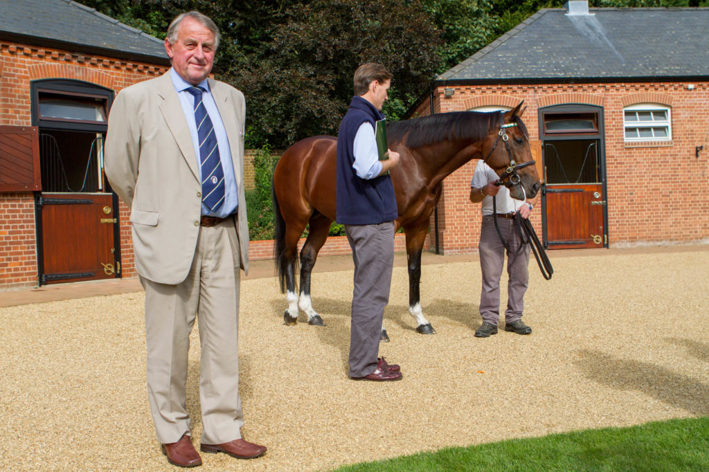 Gentleman in pale suit stood in front of bay Thoroughbred stallion and handler