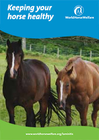 Keep your horse healthy pack