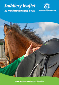 Saddlery
