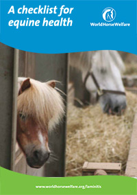 A checklist for equine health