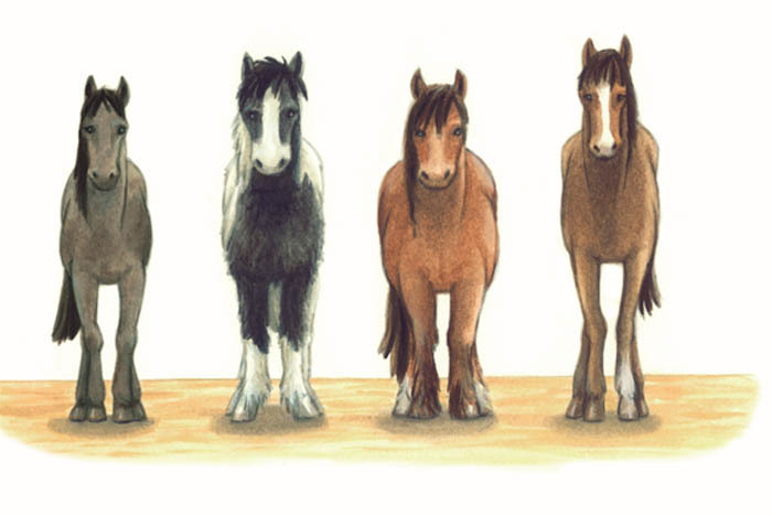 Cruelty to horses can take many forms