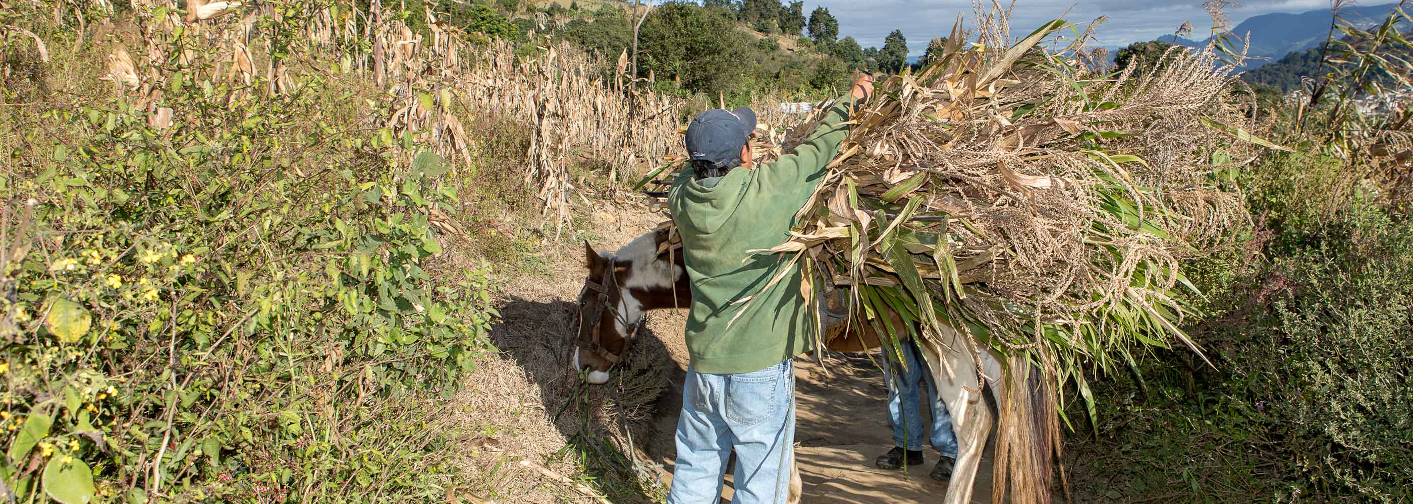 Guatemala