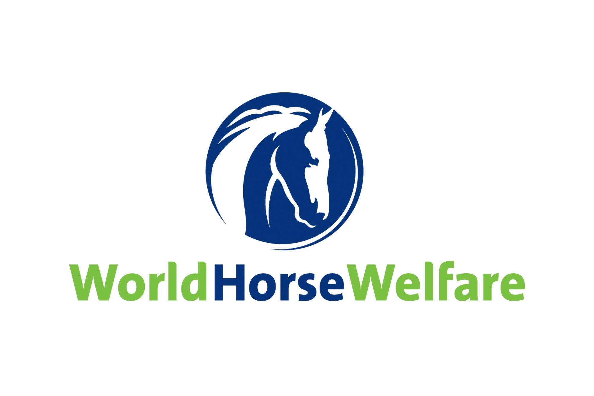 World Horse Welfare welcomes release of fundamental strategy to benefit the welfare of racehorses throughout their lives