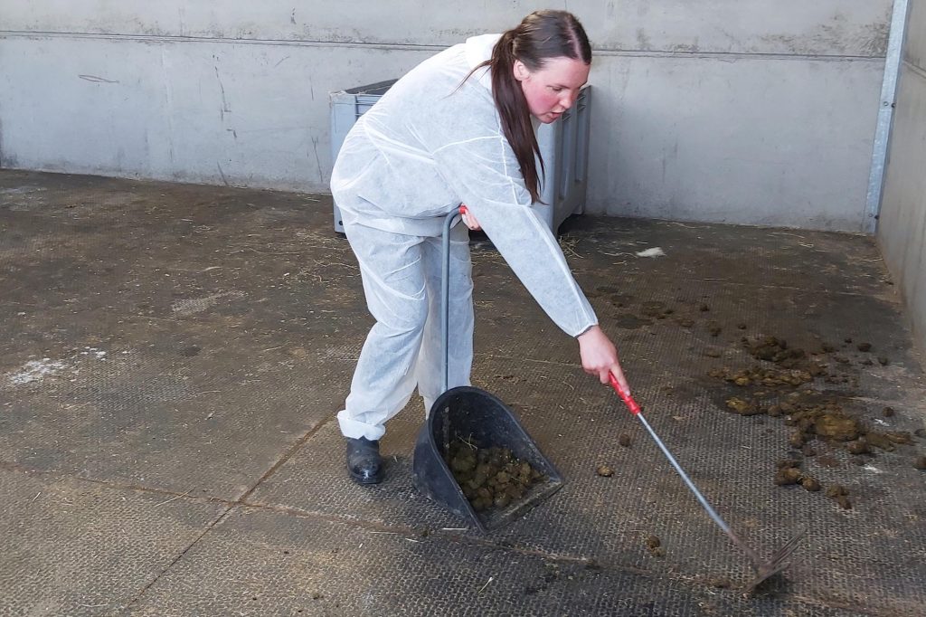 World Horse Welfare groom wearing protective overalls